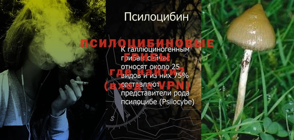 MESCALINE Алзамай
